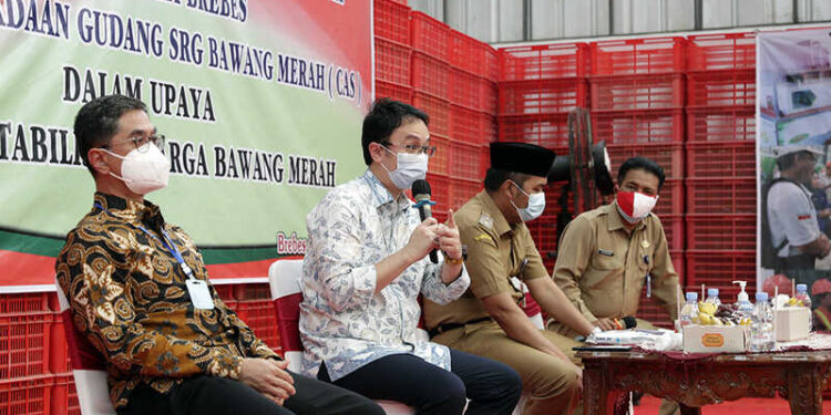 Kunjungi Brebes, Wamendag Tinjau Pelaksanaan SRG Bawang Merah dengan Teknologi CAS