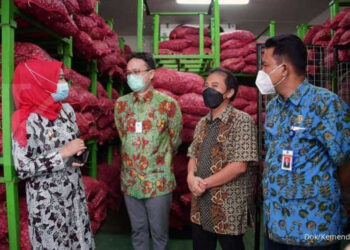 Kemendag Resmikan Implementasi SRG dengan Teknologi CAS di Brebes