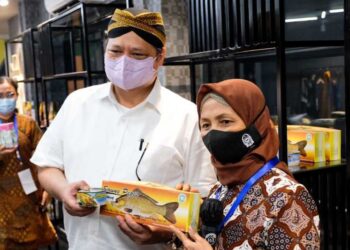 Dorong Penguatan Program PEN Melalui KUR dan Kemudahan UMKM