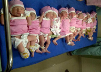 Wanita Afrika Selatan Lahirkan 10 Bayi Kembar Sekaligus