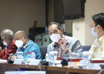 DPD RI Bersama Mendag Bahas Percepatan Pemulihan Ekonomi Nasional