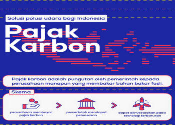 Pemerintah Berencana Memasukkan Jenis Pajak Baru, Pajak Karbon
