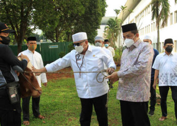 DPD RI Berbagi Hewan Kurban di Momentum Idul Adha 1422 H
