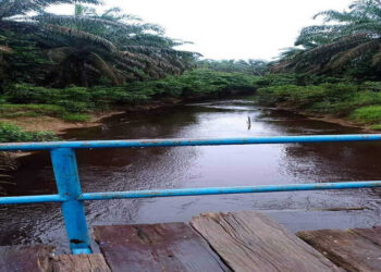 Buang Limbah ke Sungai Kandang, PT Asiatik Persada Dinilai ‘Bunuh’ Mata Pencaharian SAD