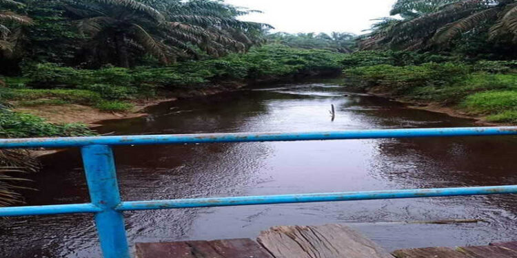 Buang Limbah ke Sungai Kandang, PT Asiatik Persada Dinilai ‘Bunuh’ Mata Pencaharian SAD