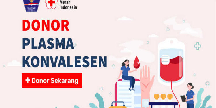 Masyarakat Diminta Waspadai Modus Penipuan Donor Plasma Konvalesen