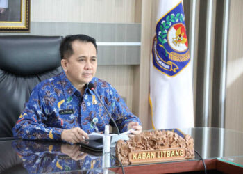 Komitmen Daerah Jadi Kunci Keberhasilan Inovasi