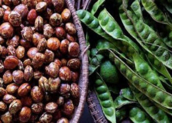 Sumatera Utara Ekspor Jengkol dan Petai ke Jepang