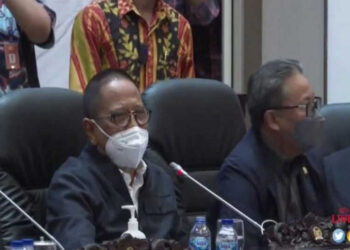 Tak Penuhi Syarat, Nyoman Adhi Suryadnyana Terpilih sebagai Anggota BPK