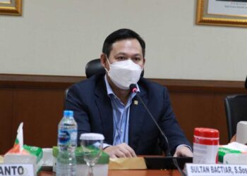 Sultan Usulkan Skema Pajak Harus Berorientasi Pada Agenda Mitigasi Perubahan Iklim 