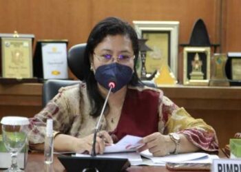 Melalui Rapat Pleno Secara Virtual, Komite IV Dorong RUU Pinjaman Daerah Sebagai RUU Usul Inisiatif DPD RI