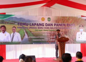 Hasil Panen Padi Capai 7,2 Ton, Mentan : Pintu Ekspor Sangat Terbuka