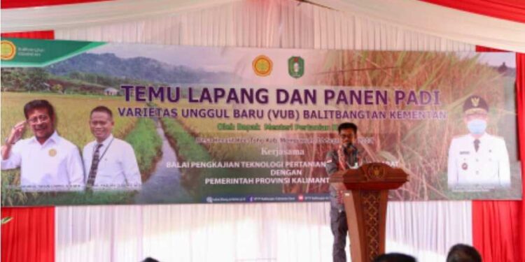 Hasil Panen Padi Capai 7,2 Ton, Mentan : Pintu Ekspor Sangat Terbuka