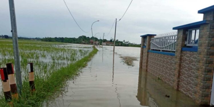 Tak Ada Korban Jiwa, Banjir Sempat Rendam Tiga Wilayah Administrasi di Provinsi Banten