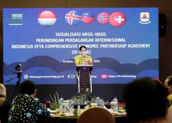 Jerry Sambuaga Minta Pelaku Usaha Maksimalkan Manfaat Perjanjian IE-CEPA