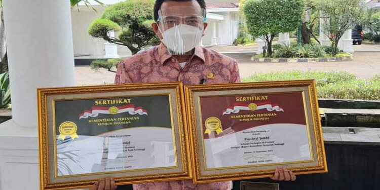 Gubernur Terima 2 Penghargaan Bidang Pertanian dari Wapres