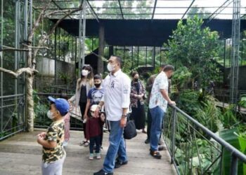 Bamsoet Dukung Tasta Tabanan Wildlife Park Dalam Konservasi Flora Fauna