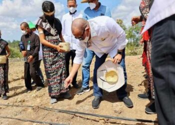 Harga Jagung Meroket, LaNyalla Sebut Impor Bukan Solusi