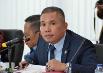 Keberadaan Regulasi E-Commerce Sangat Dibutuhkan