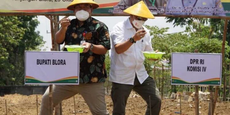 Jadikan Desa Sukerejo Sebagai Komoditas Ekspor, Bupati Blora Tanam Porang