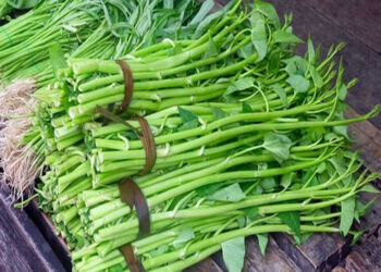 Makan Kangkung Ternyata Bisa Cegah Diabetes, Begini Cara Mengolahnya