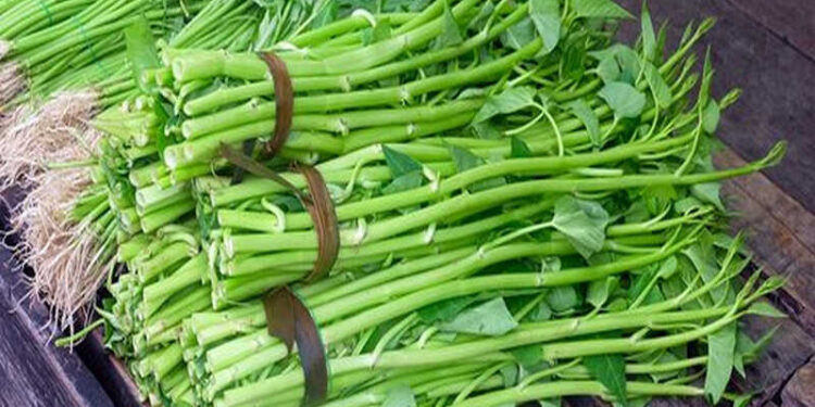 Makan Kangkung Ternyata Bisa Cegah Diabetes, Begini Cara Mengolahnya