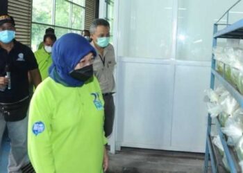 Indonesia Berpeluang Besar Perluas Pemasaran Ikan Hias