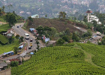 Bogor Bakal Punya Jembatan Gantung Terpanjang di Dunia