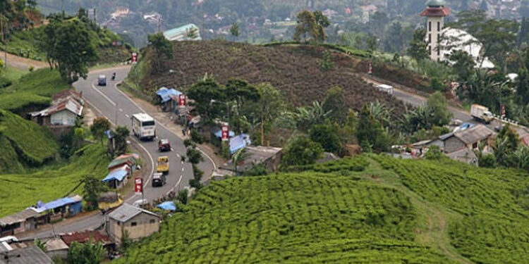 Bogor Bakal Punya Jembatan Gantung Terpanjang di Dunia