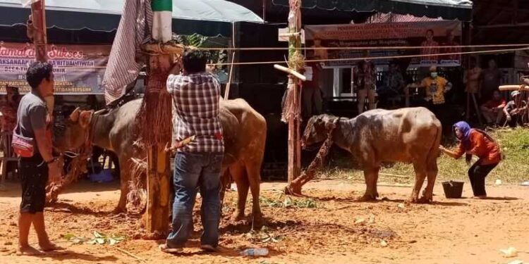 Kebanggaan Suku Dayak, Ritual Tiwah Curi Perhatian Wisatawan Mancanegara