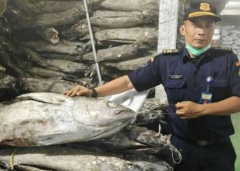 KKP Tindak Tegas Praktik Impor Perikanan Nakal