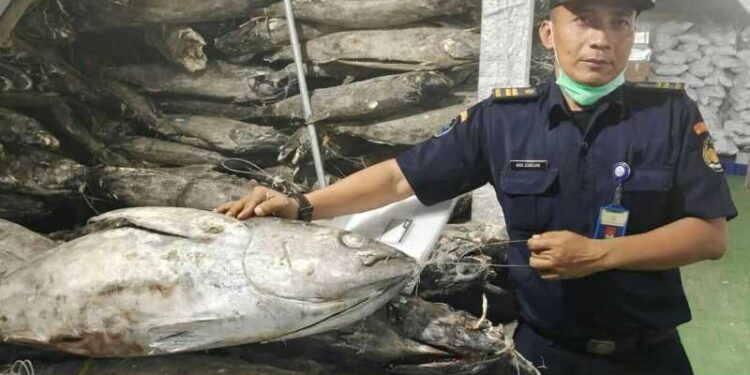 KKP Tindak Tegas Praktik Impor Perikanan Nakal