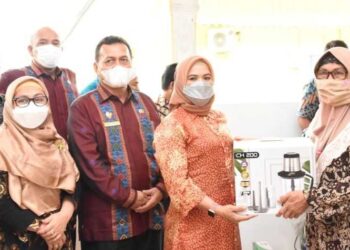Ketua Dekranasda Kabupaten Sergai Berikan Bantuan Kepada Pelaku UMKM