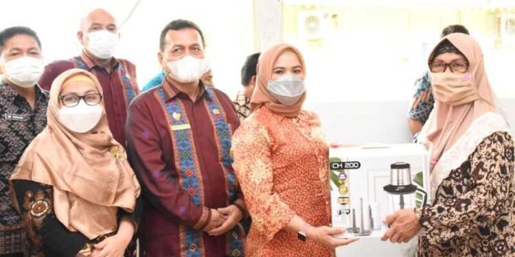 Ketua Dekranasda Kabupaten Sergai Berikan Bantuan Kepada Pelaku UMKM