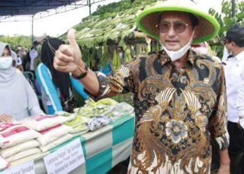 Sejahterakan Rakyat, Fadel Muhammad Dorong Daerah Tingkatkan Komoditas Pangan