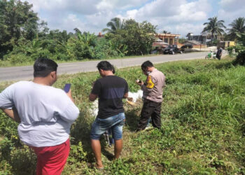 Polres Merangin Amankan Ganja Seberat 80 Kg Tak Bertuan di Pinggir Jalan