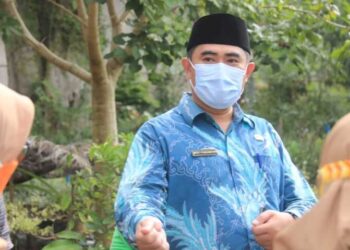 Sikapi Cuaca Ektrem, DLH Rutin Pantau Pohon di Wilayah Kota Bengkulu