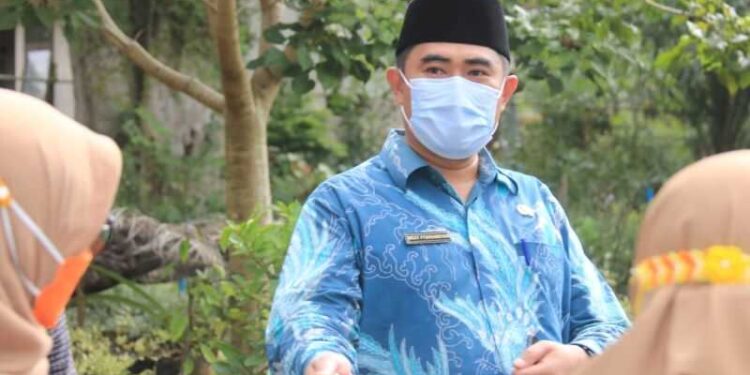 Sikapi Cuaca Ektrem, DLH Rutin Pantau Pohon di Wilayah Kota Bengkulu