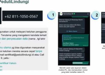 Kemenkes Terus Perbaiki layanan PeduliLindungi