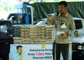 Upaya Peningkatan Konsumsi Protein Hewani, Kementan Serap 1 Juta Telur dari Peternak