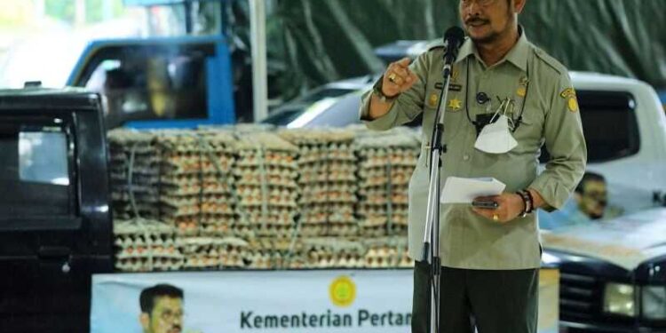 Upaya Peningkatan Konsumsi Protein Hewani,  Kementan Serap 1 Juta Telur dari Peternak