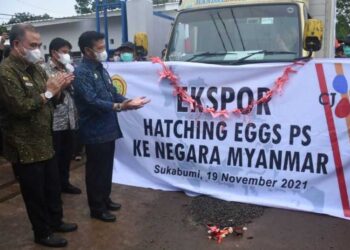 Mentan SYL Lepas Ekspor Telur Sebanyak 58.500 Butir ke Myanmar