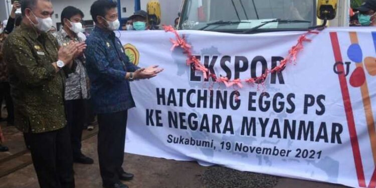 Mentan SYL Lepas Ekspor Telur Sebanyak 58.500 Butir ke Myanmar