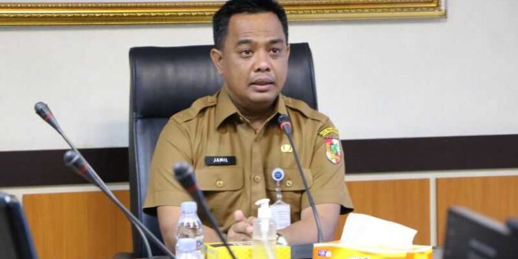 Miliki Masterplan Pengendaliaan Banjir, Jamil Sebut Banjir Cepat Surut