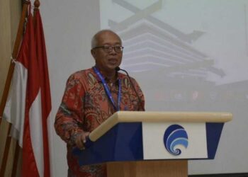 Kemitraan E-Commerce Buka Peluang Bisnis di Pedesaan