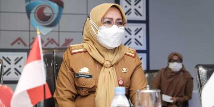 Upaya Pemkab Gowa Turunkan Angka Kematian Ibu dan Bayi