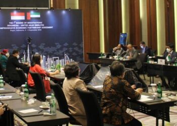 Perundingan IUAE–CEPA