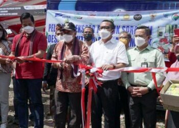 Panen dan ekspor Sorgum