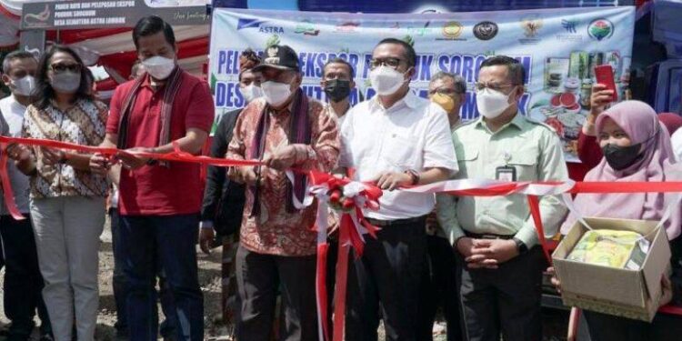 Panen dan ekspor Sorgum