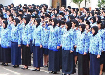 Tidak Semua PNS Instansi Pusat Pindah ke IKN